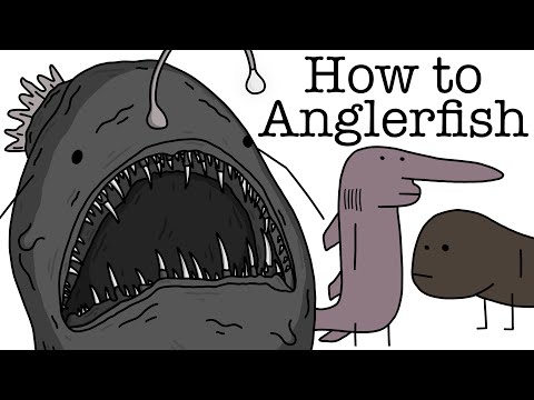 Your Life as an Anglerfish