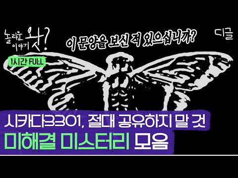 [#놀라운이야기왓] (미스터리 1시간) 당신이 몰랐던 진실 혹은 거짓, 실화 바탕 미해결 괴담 1시간 모음 | #프리한19 #디글