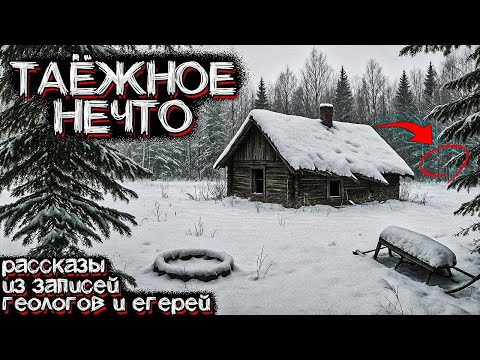 В Этой ТАЙГЕ обитает НЕЧТО Необъяснимое  Страшные истории из ТАЙГИ