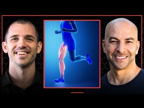 The difference between fast-twitch and slow-twitch muscles | Peter Attia and Andy Galpin