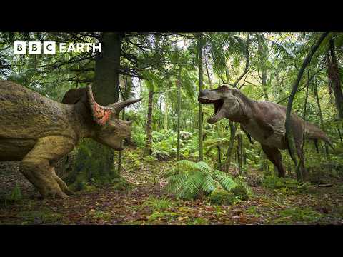 Greatest Standoff: T.rex vs Triceratops | Walking with Dinosaurs | BBC Earth