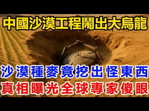 中國沙漠工程鬧出大烏龍!沙漠種麥竟挖出怪東西!真相曝光全球專家傻眼!
