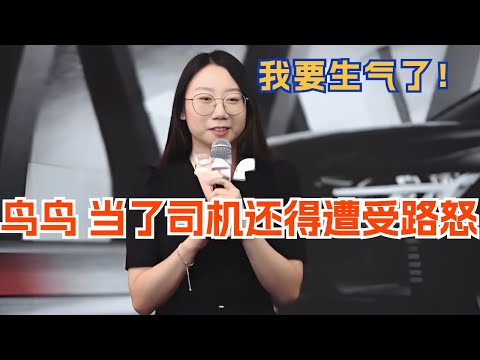 鸟鸟 没想到我当了司机还要遭受路怒!脱口秀 | 脱口秀大会 | 综艺 | 娱乐 | 搞笑