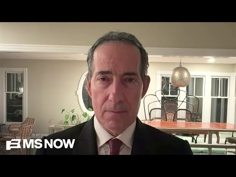 Rep. Raskin: The fatal shootings of Good & Pretti are ‘a massive assault on civil liberties’