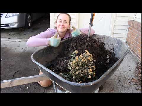 Unexpected Winter Garden Clean Up