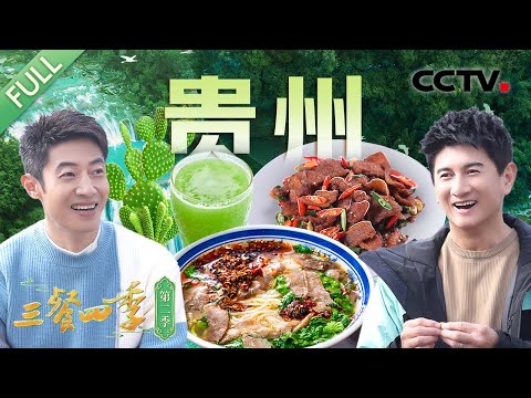 【Full】凉拌仙人掌、仙人掌炒腊肉、仙人掌汤……“百变”仙人掌一吃一个不吱声！撒贝宁、吴奇隆等带你寻味贵州味道的独家密码 | CCTV「三餐四季 第二季」第3期 20250202