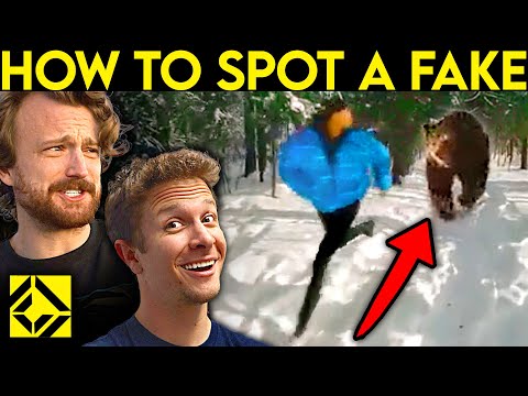 VFX Artists DEBUNK Bear Attack Videos