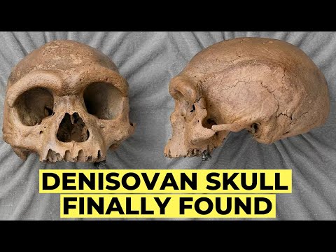 Ancient DNA Reveals The REAL Origin of Denisovans — From Siberia to a Chinese Skull