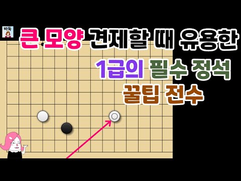 화점 정석 -  세 칸 협공 1급의 필수 정석!