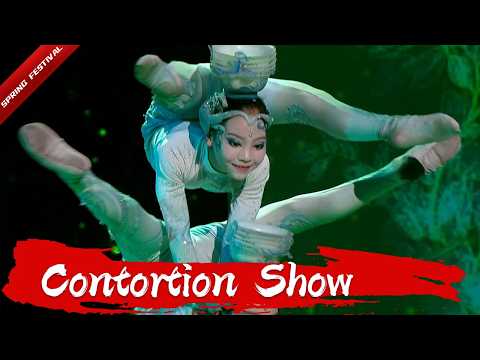 Best Contortion Performances Collection 柔术表演合集 | 了不起的中国人 春节特辑