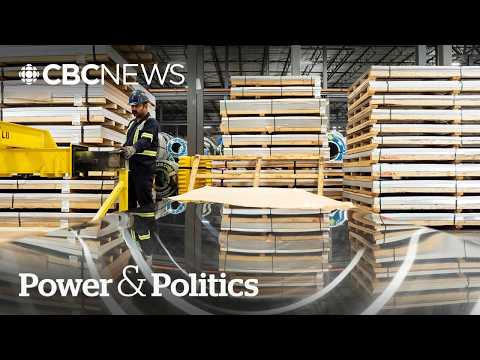Ontario secures $229M in federal funding to help tariff-affected sectors | Power & Politics