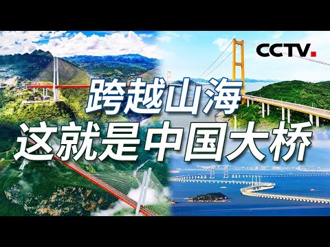 中国“桥梁家族”以令人惊叹的速度和品质迈向世界前列！从斜拉到悬索 从跨江到跨海 一座座大桥勾勒出中国发展的足迹！【CCTV纪录】