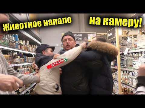 Синее быдло напало на камеру / Животное в SPARE 2020