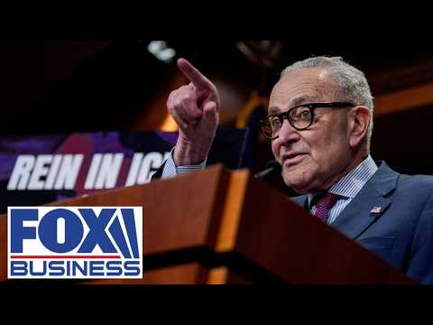 'What are Dems so afraid of?': GOP senator SLAMS opposition to voter ID laws