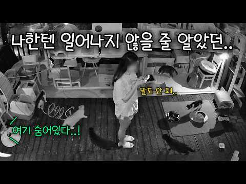 내게 이런 일이 생길 거라곤 상상도 하지 못 했다.