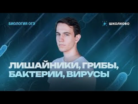 Лишайники, грибы, бактерии, вирусы | Подготовка к ОГЭ - 2026 по Биологии