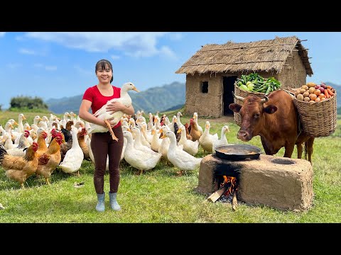 TIMELAPSE -- Village Life in the Mountains | Harvesting Many Ducks & Traditional Cooking