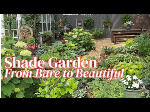 🌳 Watch My Shade Garden Grow: From Empty to Enchanted