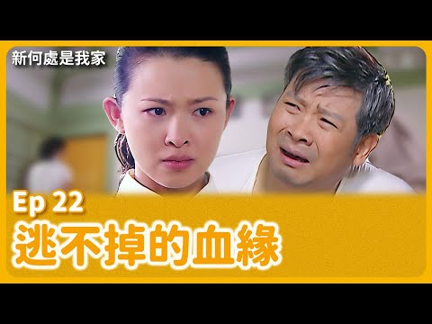 大愛劇《新何處是我家》EP22 #吳婉君 #孫鵬 #楊慶煌