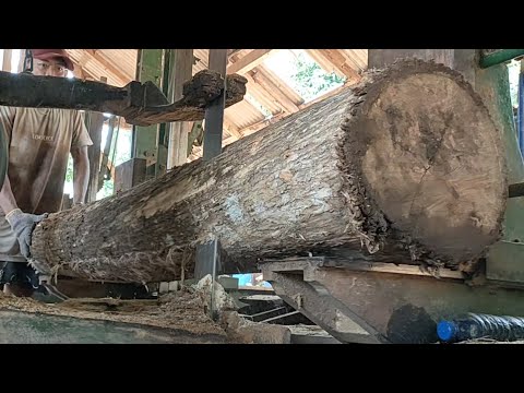 High quality door materials at the sawmill 