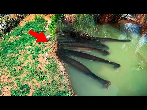 200 unglaubliche Dinge, die mit der Kamera aufgenommen wurden. Das Beste des Monats