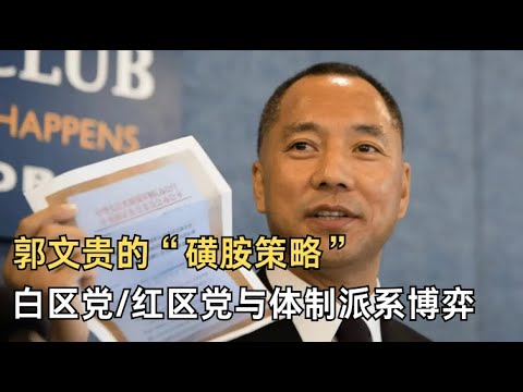 刘仲敬：郭文贵的“磺胺策略” | 新中国联邦的本质 | “爆料革命”  | 大蜀民国 |白区党/红区党与体制派系博弈| 民族发明与习惯法 | 东莞“世界工厂”真相 | 阶级降级 |