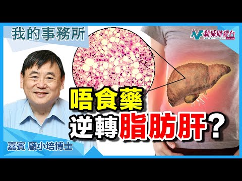 【我的事務所】呢種天然成份有助預防中風、逆轉脂肪肝？仲可以舒緩痱滋同口臭！｜顧小培 劉婉芬