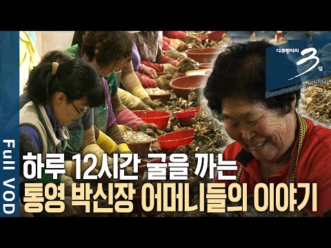 [Documentary 3 Days📸] Mothers of Park Shin-jang stand for 12 hours a day, shucking oysters in the...