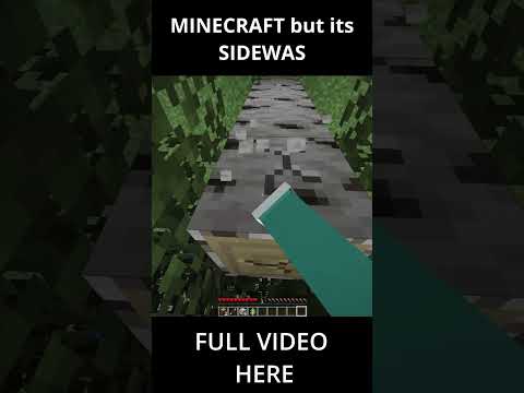 I Turned Minecraft Sideways#shorts