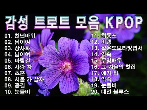감성 트로트 모음 KPOP (TROT) PLAYLIST ☘️ ( 꽃길.상사화.여인의 눈물.회룡포.바람길...) #Kpop