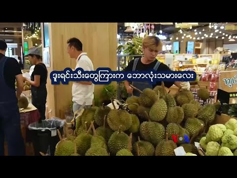 ဒူးရင်းသီးကြားက ဘောလုံးသမား “နေရာပေါင်းစုံ၊ အကြောင်းစုံ”