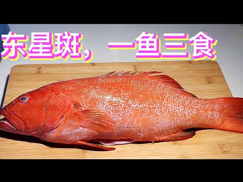 东星斑三食，三十年大厨告訴你一魚三食的家常做法，营养丰富，滿足多种不同口味！【休闲煮食】@Benny-Lee-cooking-expert #东星斑料理