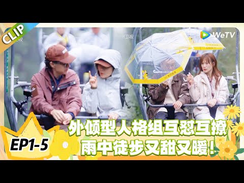 日落时分说爱你 EP1-5:刘玫罗飞雨中甜恋,被调侃 “牢不可摧”,嗑到了! #恋综 #日落时分说爱你