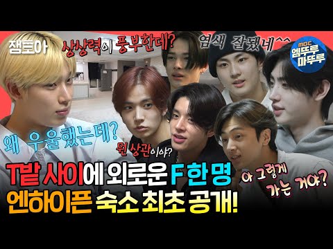 [SUB][#전참시] 멤버들의 취향이 담긴 엔하이픈의 숙소 최초 공개!🤩 차가운 T 멤버들 사이에 감수성 폭발한 외로운 선우💦ㅣ#엔하이픈 MBC240706방송