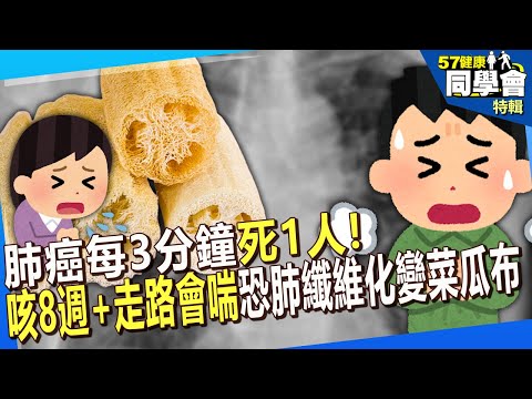 【精選】肺癌每3分鐘死1人！「咳8週+走路會喘」恐肺纖維化變菜瓜布！？醫曝4類食物養肺【57健康同學會】