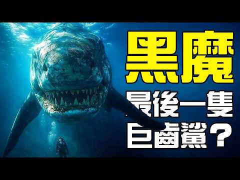【UMA丨黑魔鯊】體型是大白鯊的三倍，最後一條活著的巨齒鯊！墨西哥傳說中的黑魔鯊到底是什麼？丨黑毛羊駝