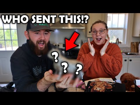 This UK MYSTERY BOX Was Unbelievable!!! *who sent beans!?*