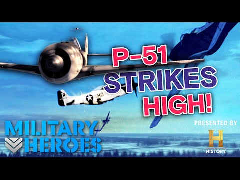POWER of the P-51 | Dogfights