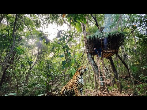 CONSTRUÍ E PASSEI A Noite Numa CASA NA ÁRVORE - AVENTURA selvagem NO MATO! 