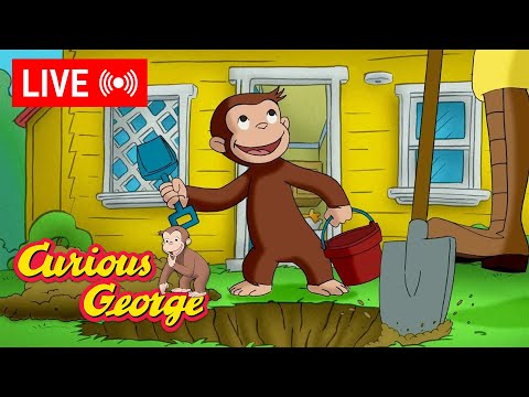 🔴 LIVE Curious George Episodes 🐵 George the Digger 🪏 + MORE!