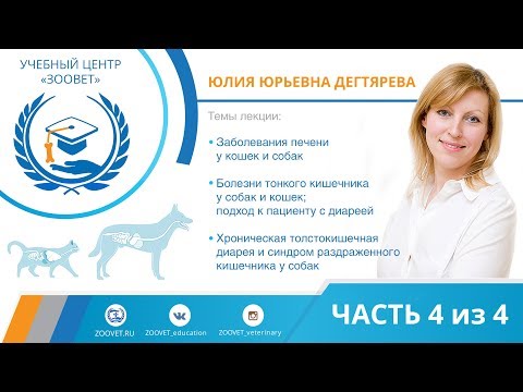 Ю. Ю. Дегтярева УЦ ЗООВЕТ | Заболевания печени у кошек и собак. Часть 4/4