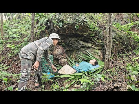 Timelapse: 60 Days of a Single Woman Building a House From Start to Finish