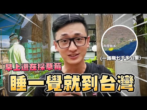 [2022]澳洲生活日常：我精彩的24小時！｜早上還在採草莓🍓睡一覺就到台灣！？｜行程滿檔飛行✈️｜Life in Taiwan 🇹🇼