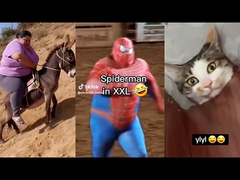 Random videos I watch at 2 a.m. #4