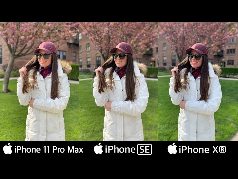 iPhone SE (2020) vs iPhone 11 Pro Max vs iPhone XR | Camera Test
