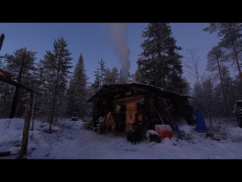 Frosts have arrived. A lynx is walking near the hut. Fishing and everyday life in the taiga.