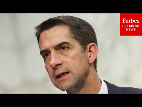 Tom Cotton Leads Senate Intelligence Committee Hearing For Trump's NSA Director Nominee