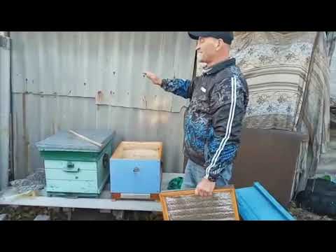 10 -рамочный + 145 надставка. Ульи на моей пасеке. Ч.2.