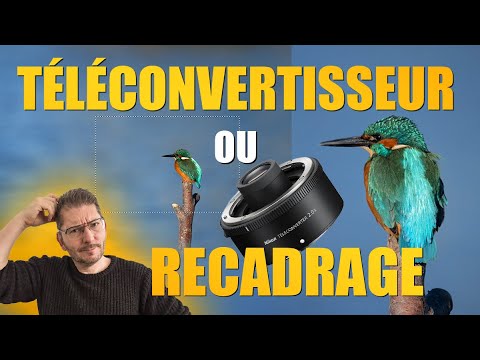 TÉLÉCONVERTISSEUR/MULTIPLICATEUR ou RECADRAGE ?  J'ai été surpris !!