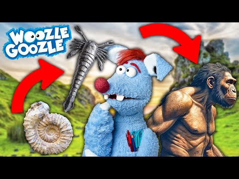 Wie entsteht Leben? l WOOZLE GOOZLE